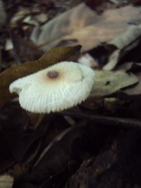 DSC02931.JPG