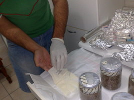 250320114162.jpg