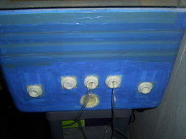 terrário 2.JPG