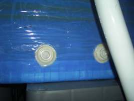 terrário 3.JPG