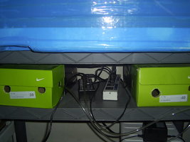 terrário 5.JPG