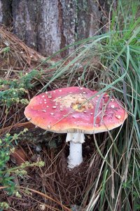 100_1813.JPG