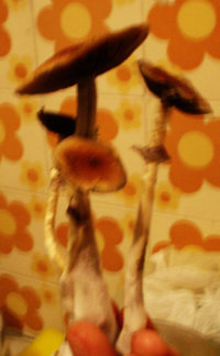 03.jpg