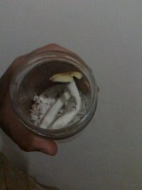moto_0040.jpg