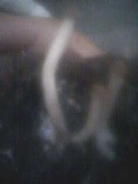 090411081007-01.jpg 090411081007-01.jpg
