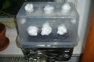 minibulk2.JPG