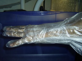 Glove 8.JPG