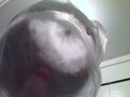 IMG432.jpg