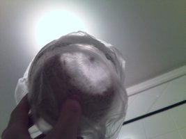 IMG434.jpg