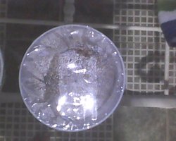 IMG0202A.jpg