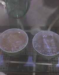 IMG0205A.jpg