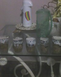 IMG0207A.jpg