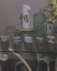 IMG0209A.jpg