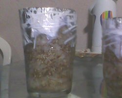 IMG0211A.jpg