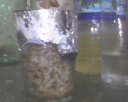 IMG0215A.jpg