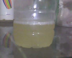 IMG0222A.jpg