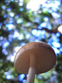 DSC03236.JPG