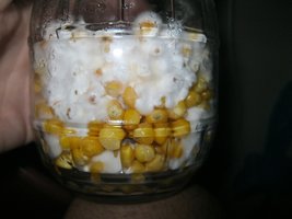 IMG_0238.JPG