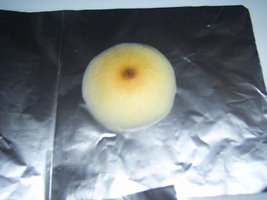 Corumba-MS-Brazil 20.JPG