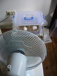 ventilaterra.JPG