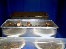 2011-04-29 14-00-30.879.jpg