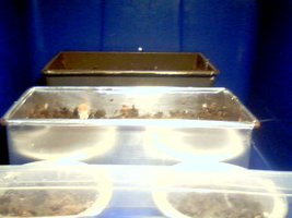 2011-04-28 13-39-14.025.jpg