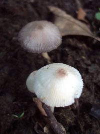 DSC03294.JPG
