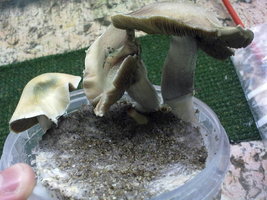 30042011084.jpg