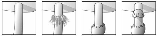 ScreenShot005.jpg