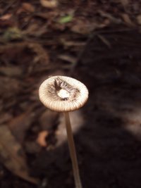 DSC03302.JPG
