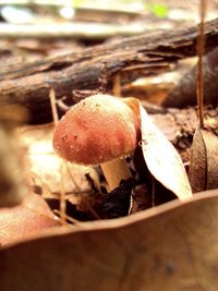 DSC03314.JPG