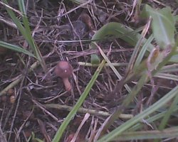 IMG0320A.jpg