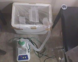 IMG0351A.jpg