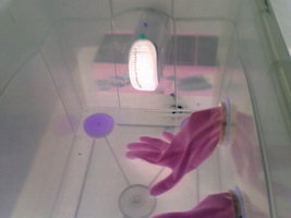 04062011012.jpg