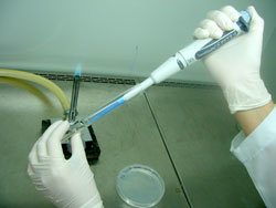 labs-(4).jpg