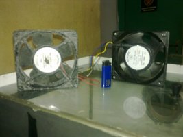 05062011484.jpg