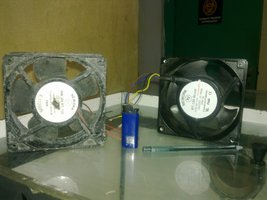 05062011485.jpg