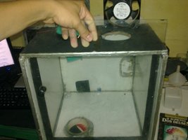 05062011494.jpg