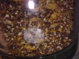07062011027.jpg