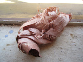 IMG_1560.JPG