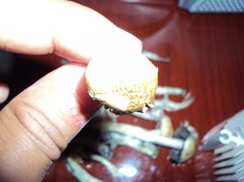 DSC01292.JPG
