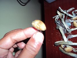 DSC01293.JPG