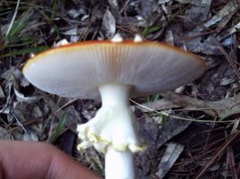 PICT0076.JPG