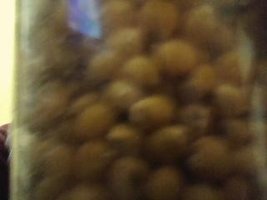 Picture0001.jpg
