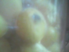 IMG0045A.jpg