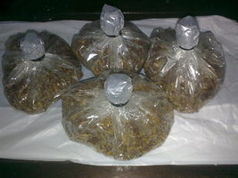 30062011217.jpg
