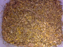 28062011155.jpg