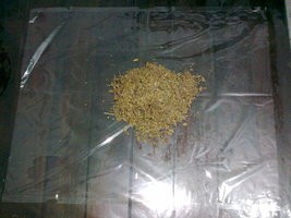 28062011157.jpg