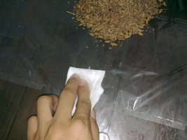 28062011159.jpg