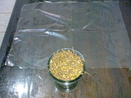 29062011192.jpg